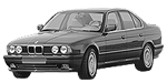 BMW E34 U216A Fault Code